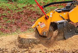 Reliable Yanceyville, NC Tree Removal Services Solutions